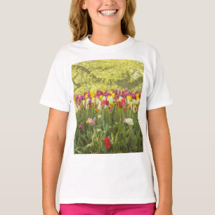 Farbenfrohe Tulpen im Park T-Shirt