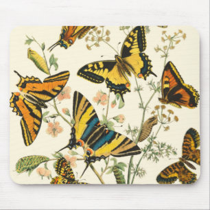 Farbenfrohe Versammlung von Schmetterlingen und Ra Mousepad