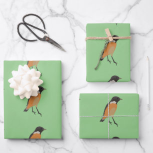Farbenfrohe Vögel Songbird Geschenkpapier Set