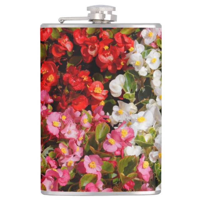 Farbenfrohe Wax Begonias Flachmann (Vorderseite)