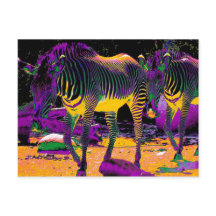 Farbenfrohe Zebras