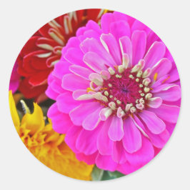 Farbenfrohe Zinnia-Blume Runder Aufkleber
