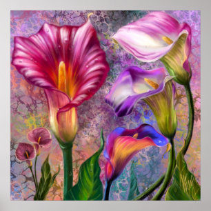 Farbenfroher Calla-Lilien-Plakat Poster