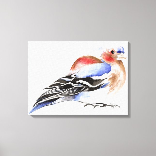 Farbenfroher Chaffinch 2011 Leinwanddruck (Vorderseite)