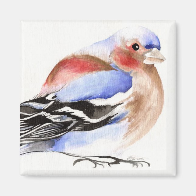 Farbenfroher Chaffinch 2011 Magnet (Vorne)