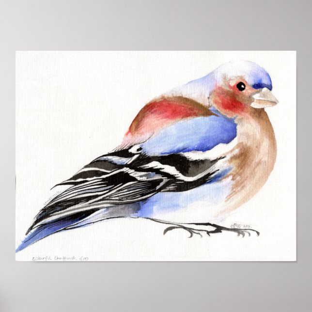 Farbenfroher Chaffinch 2011 Poster (Vorne)