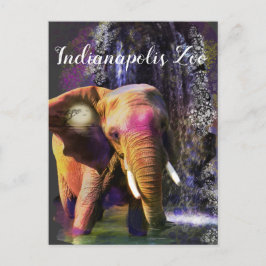 Farbenfroher Elefantenfall Postkarte