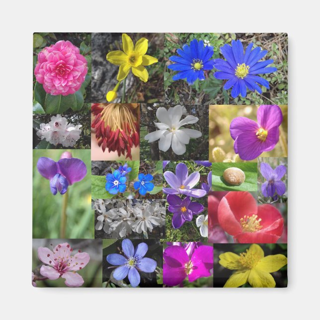 farbenfroher Frühling - Magnet (Vorne)