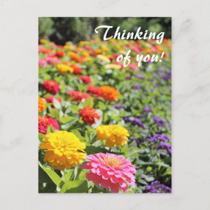 Farbenfroher Garten Dahlias 'Denken Sie an Sie' Po Postkarte