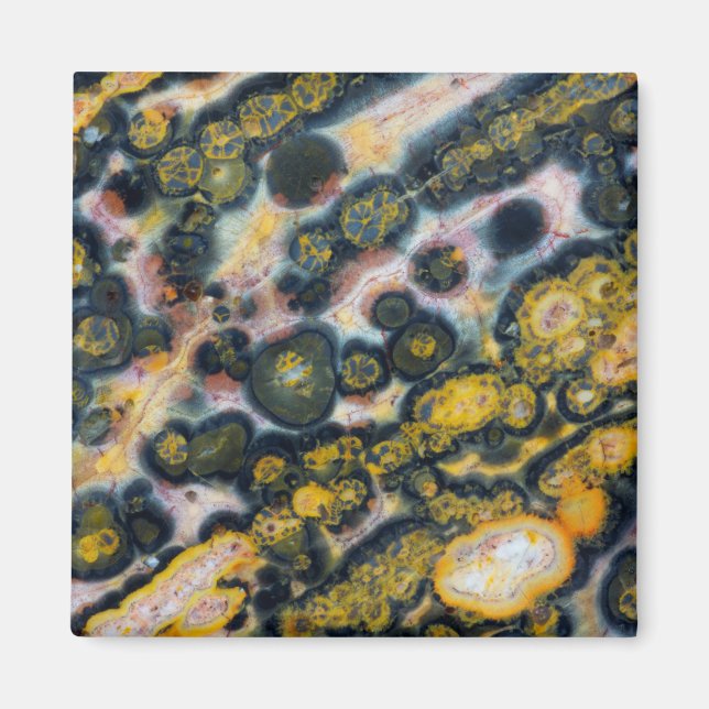 Farbenfroher gefleckter Ozean-Jasper Magnet (Vorne)