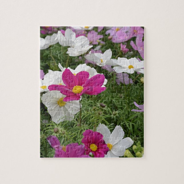 Farbenfroher Kosmoblütengarten (Vertikal)