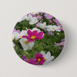 Farbenfroher Kosmoblütengarten Button