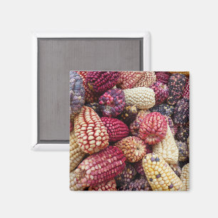 Farbenfroher Maismagnet Magnet