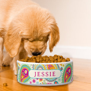 Farbenfroher moderner Paisley-Blumen-Name Napf