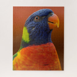 Farbenfroher Parrot Lebender tropischer Vogel