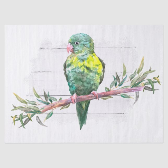Farbenfroher Parrot tropische Wasserfarbe Seidenpapier (Vorderseite)