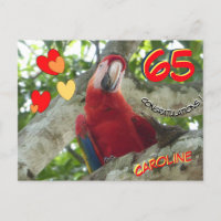 Farbenfroher Roter Papagei 65. Geburtstag Postkart