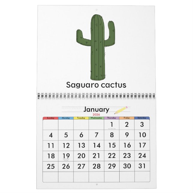 Farbenfroher Südwestkalender der Kinder Kalender (Jan 2026)