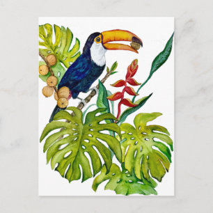 Farbenfroher Tukan Aquarell Tropenvogel Postkarte