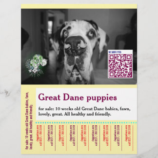 Farbenfrohes Abreiß-Hunde-Flugblatt Flyer