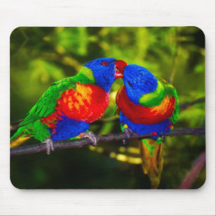 Farbenfrohes Paar küssender Papageien Mousepad