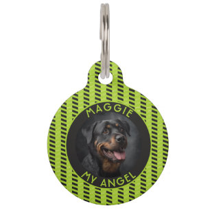Farbenfrohes Welpen-Geschenk Chevron Haustiermarke