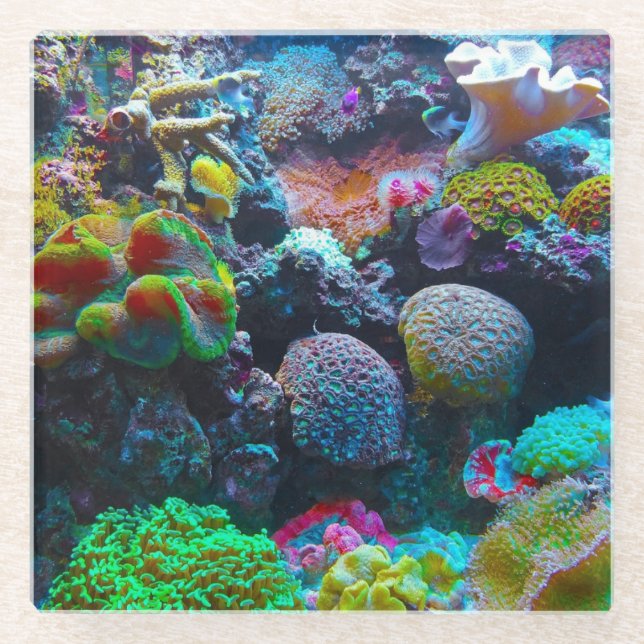 Farbenkoralle Glasuntersetzer (Vorderseite)