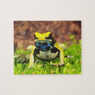 Färberfrosch, Dendrobates tinctorius,