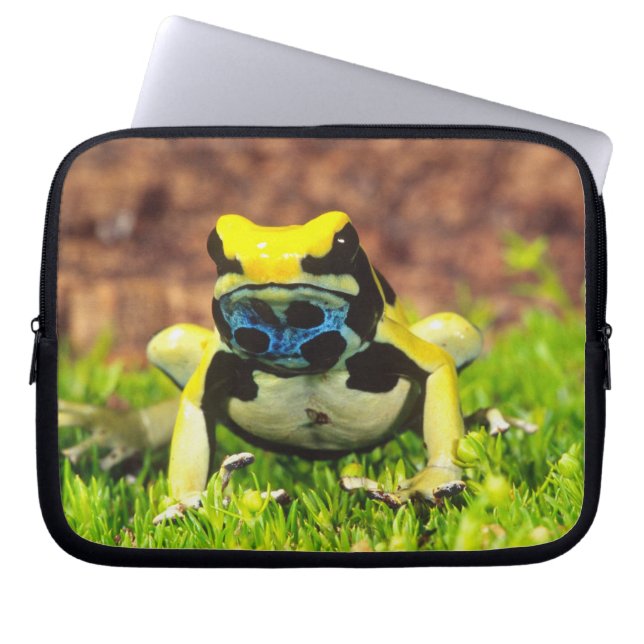 Färberfrosch, Dendrobates tinctorius, Laptopschutzhülle (Vorderseite)