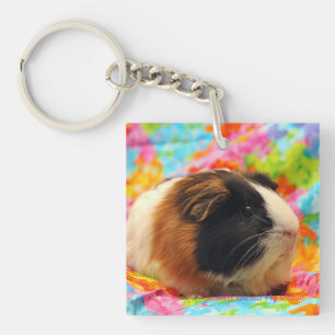 Farbexplosions-Meerschweinchen-Schlüsselanhänger Schlüsselanhänger