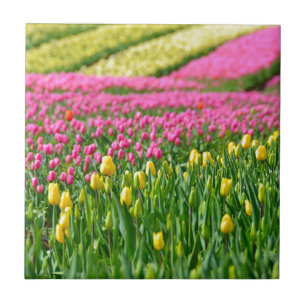 Farbfelder Fliese
