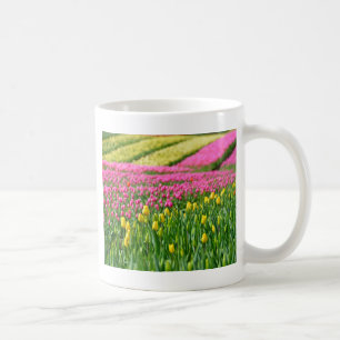 Farbfelder Kaffeetasse