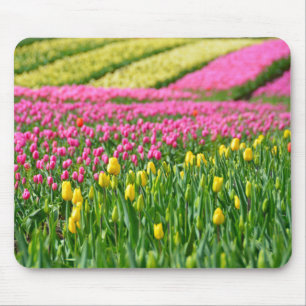 Farbfelder Mousepad