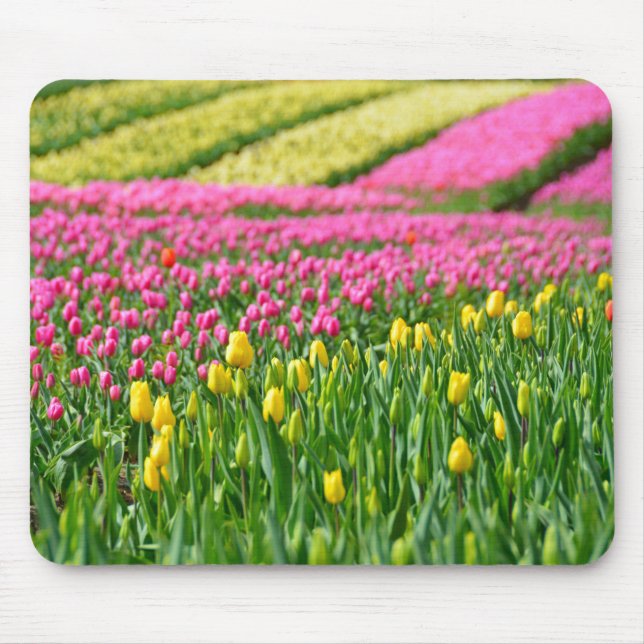 Farbfelder Mousepad (Vorne)