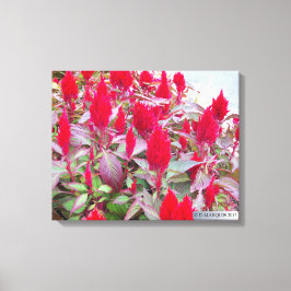 FARBFLORA #2 LEINWANDDRUCK