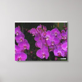 FARBFLORA #3 LEINWANDDRUCK