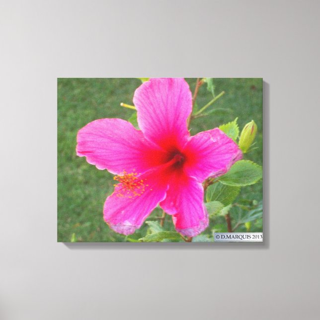 FARBFLORA #5 LEINWANDDRUCK (Vorderseite)