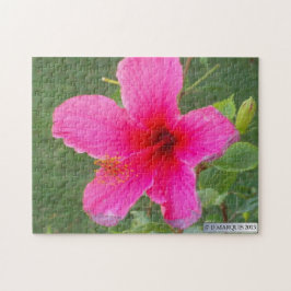 FARBFLORA#6 PUZZLE