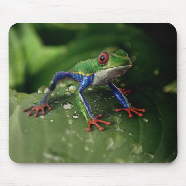 Farbfrosch Mousepad (Vorne)