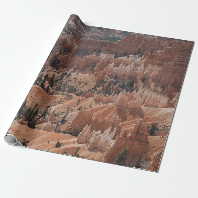 FARBHAFTER BERG GESCHENKPAPIER (Ungerollt)