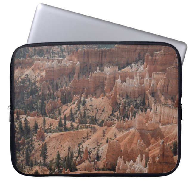 FARBHAFTER BERG LAPTOPSCHUTZHÜLLE (Vorderseite)