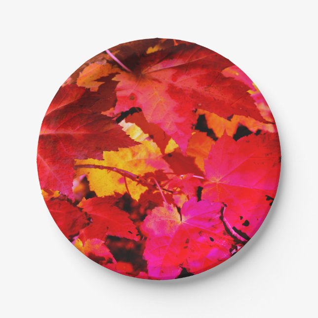 Farbige, abstrakt rosa, orangefarbene Herbstblätte Pappteller (Vorderseite)