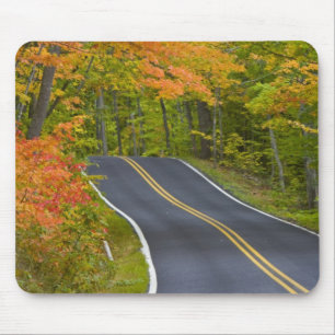 Farbige Ahornbäume im Herbst säumen die landschaft Mousepad