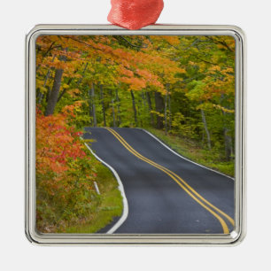 Farbige Ahornbäume im Herbst säumen die landschaft Silbernes Ornament