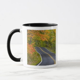 Farbige Ahornbäume im Herbst säumen die landschaft Tasse