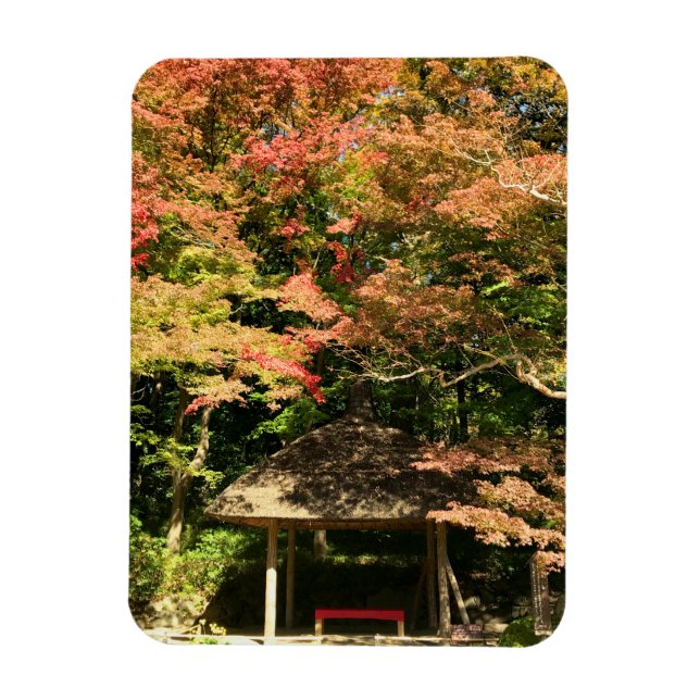 Farbige Ahornbäume und Erholung Magnet (Vertikal)