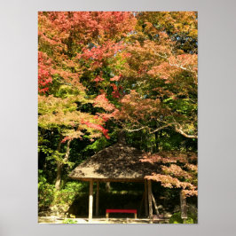 Farbige Ahornbäume und Erholung Poster