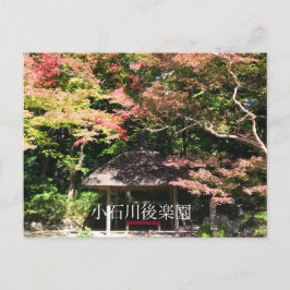 Farbige Ahornbäume und Erholung Postkarte