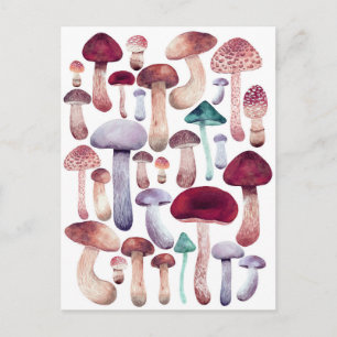 Farbige Aquarell-Illustration von Pilzen Postkarte