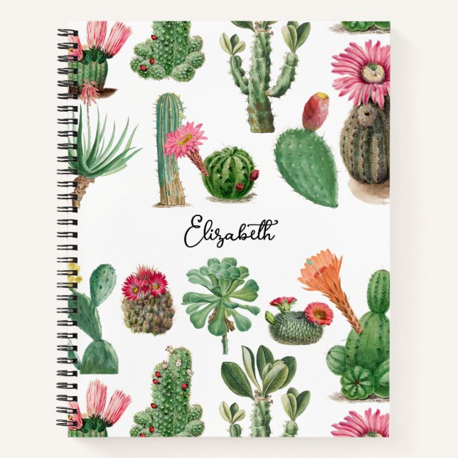Farbige Aquarellkaktus und Sukkulenten Blume Notizbuch (Vorderseite)
